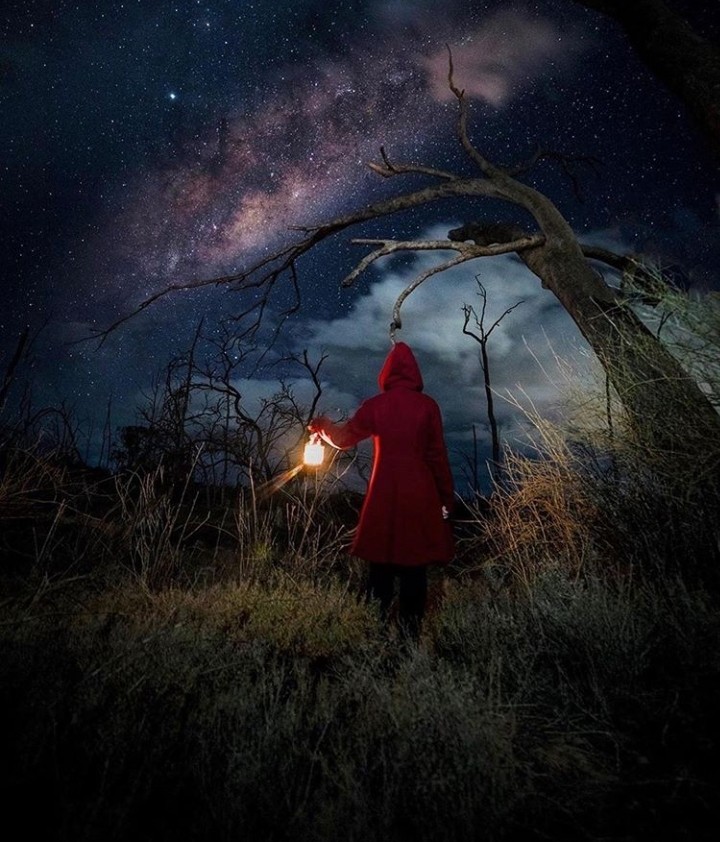 Look ! Little Red Riding Hood Is In The New World
