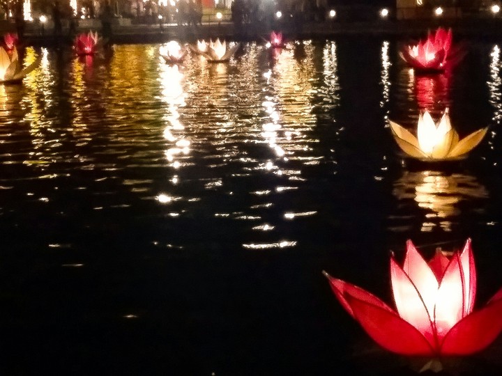 The Lightings