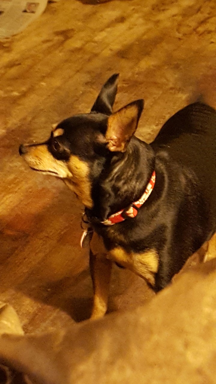 Missy