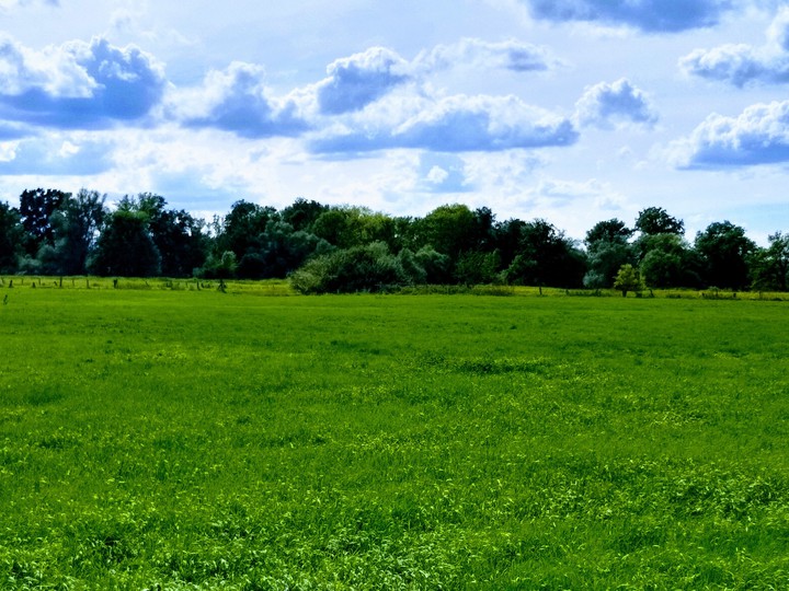 Leine Masch  (Alt Laatzen)
