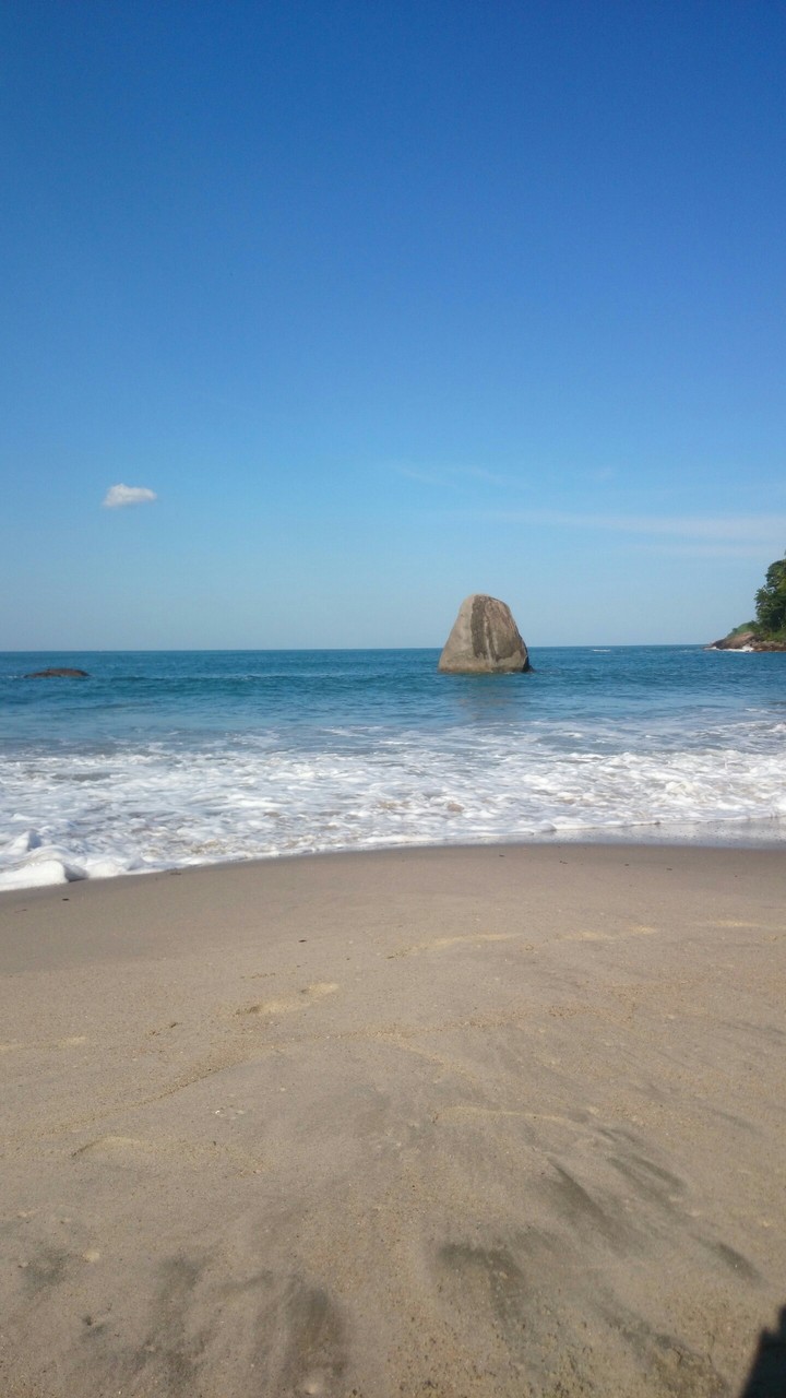 prainha branca litoral norte Brasil