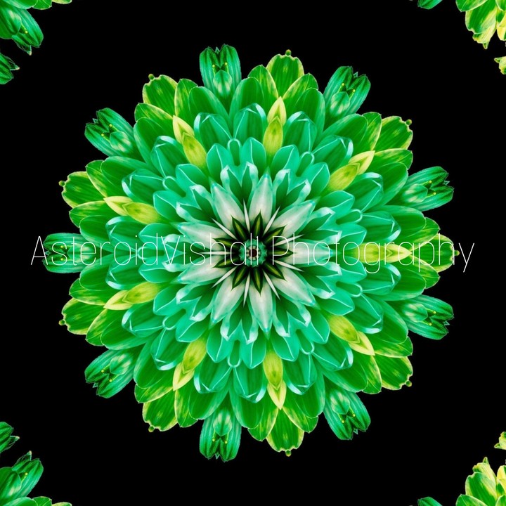 Amazing Kaleidoscope Flower Art