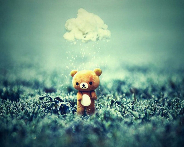 Teddy bear