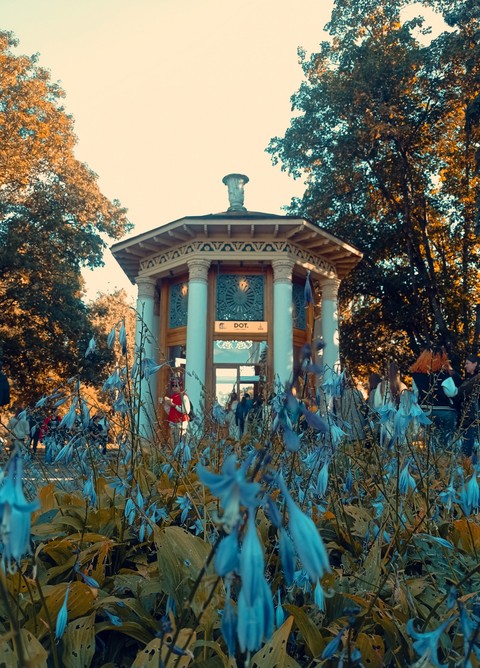 רקעים kiev, park