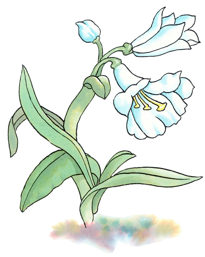 클립아트시리즈