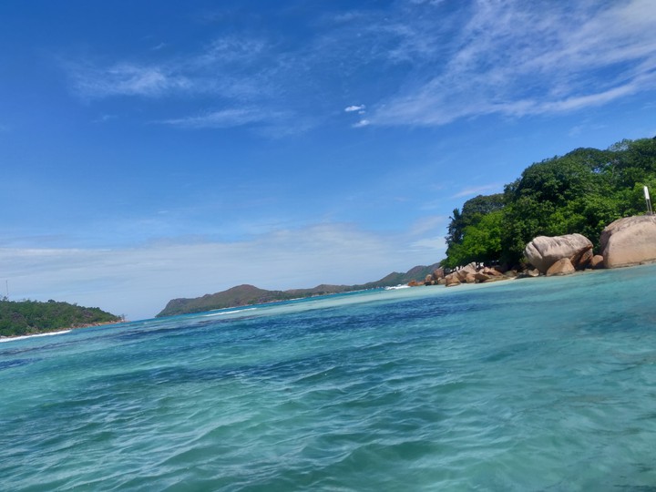 Seas the day!