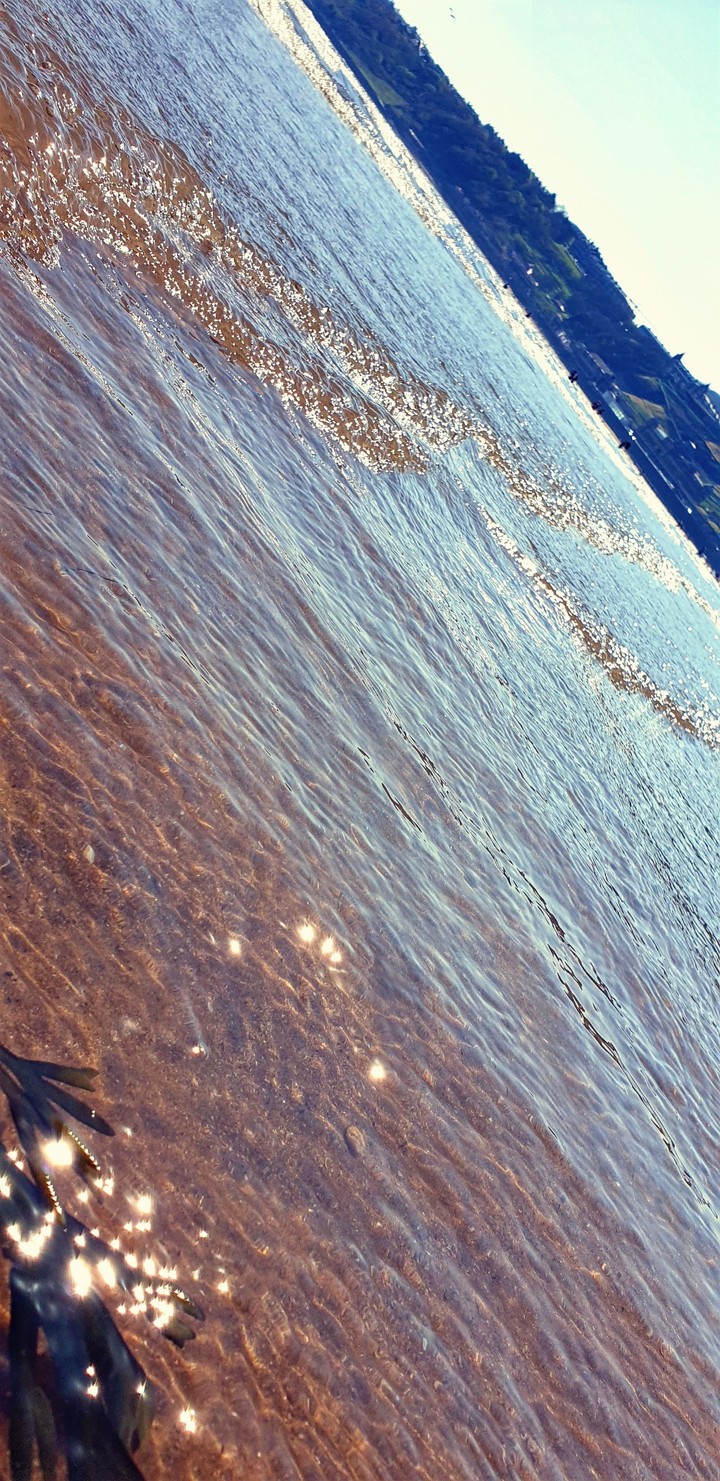 ocean