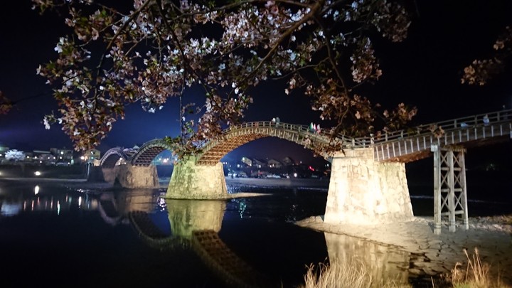 橋と桜