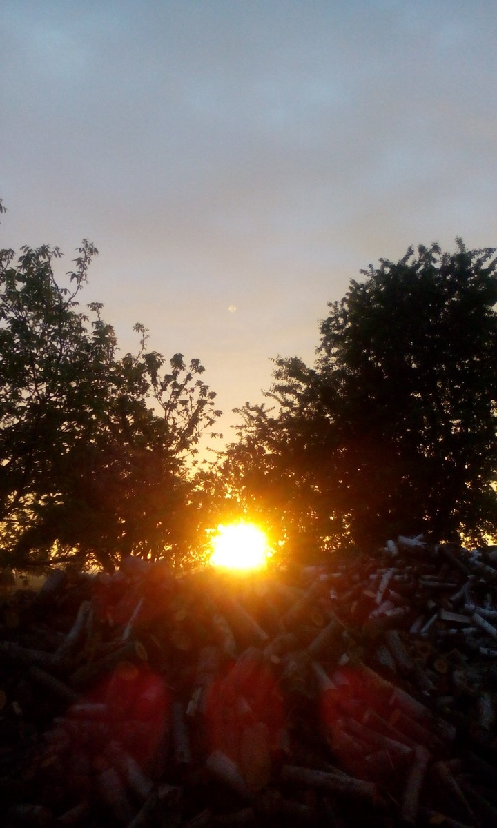Beautiful Sun