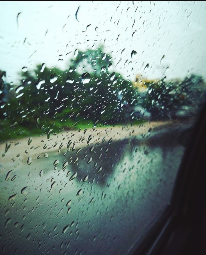 Rain
