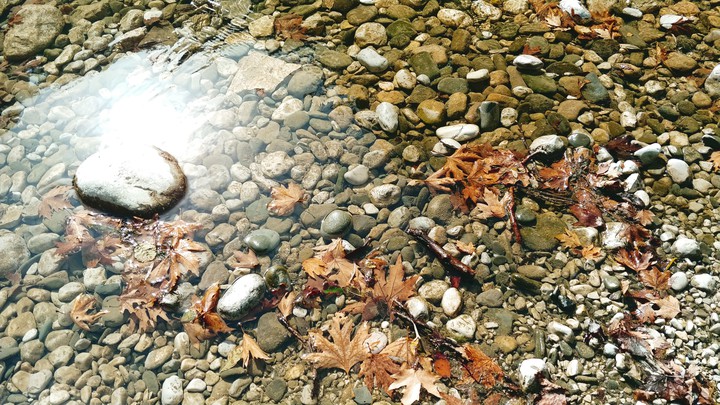 Rocks
