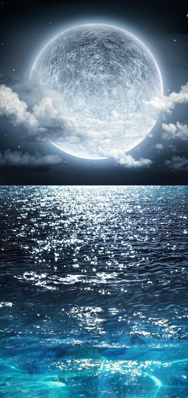 moonlit night on the sea