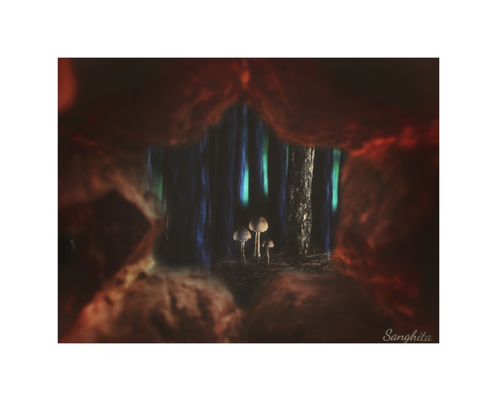 window of imagination