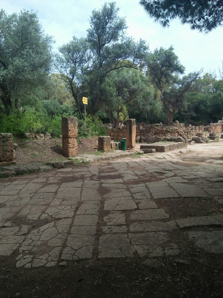 Nature et Ruinesromaines