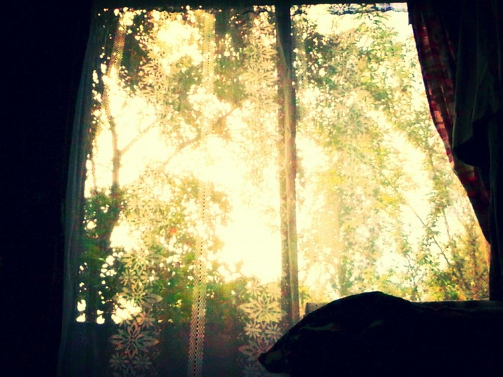 window