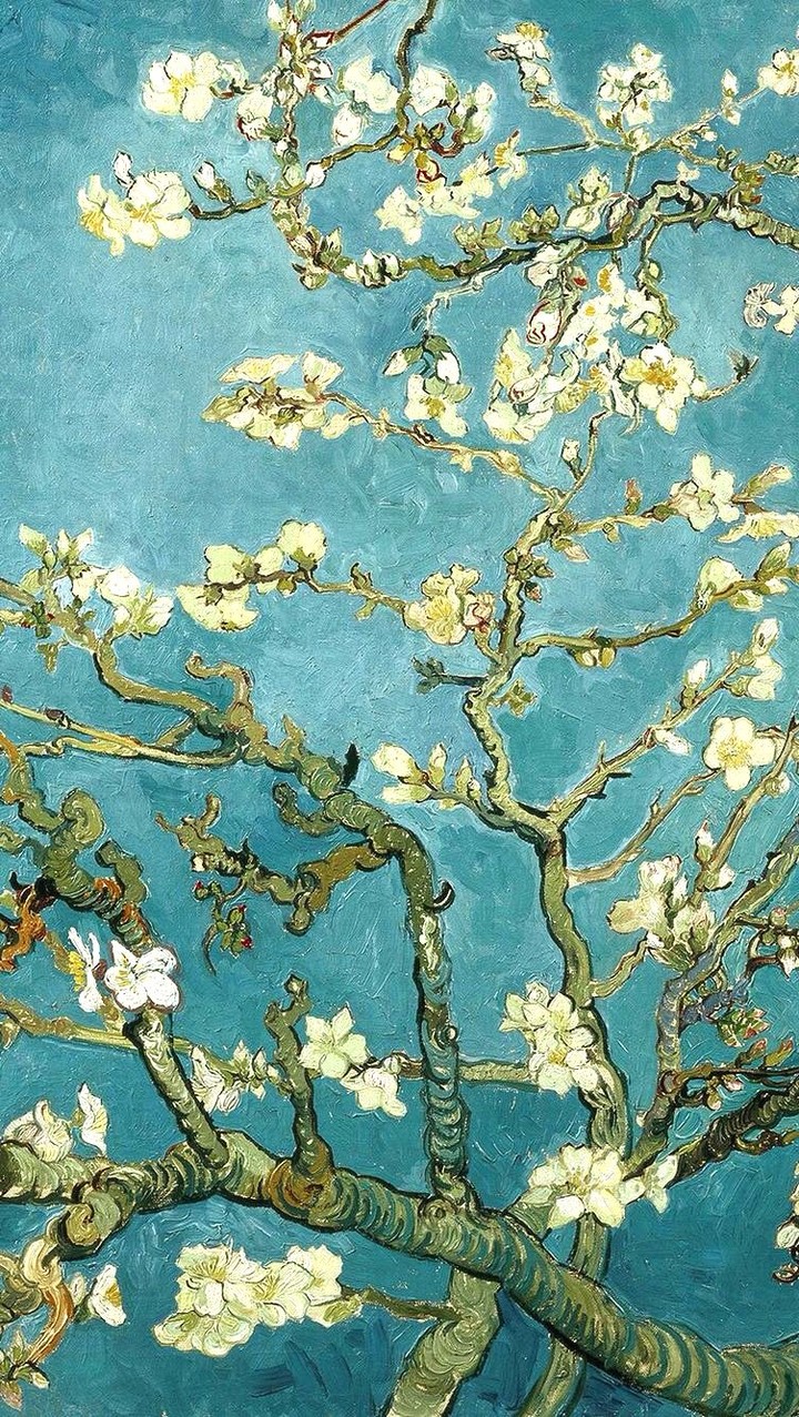 Amandier en fleurs