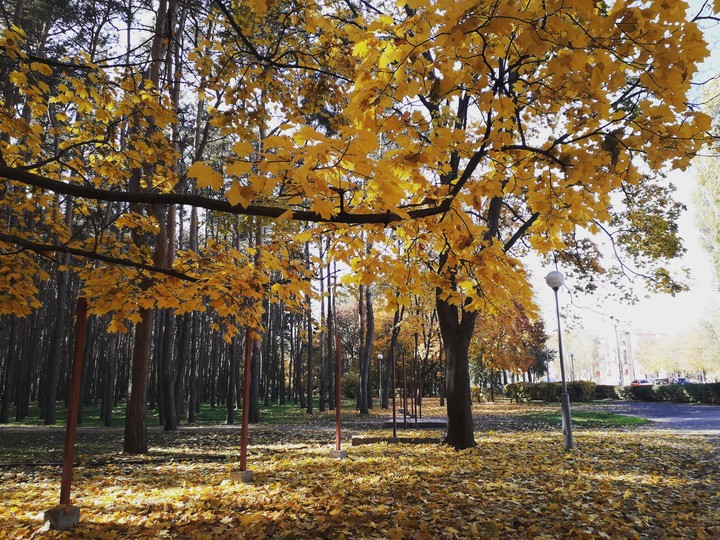 Осень