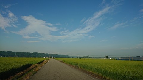 緑の波
