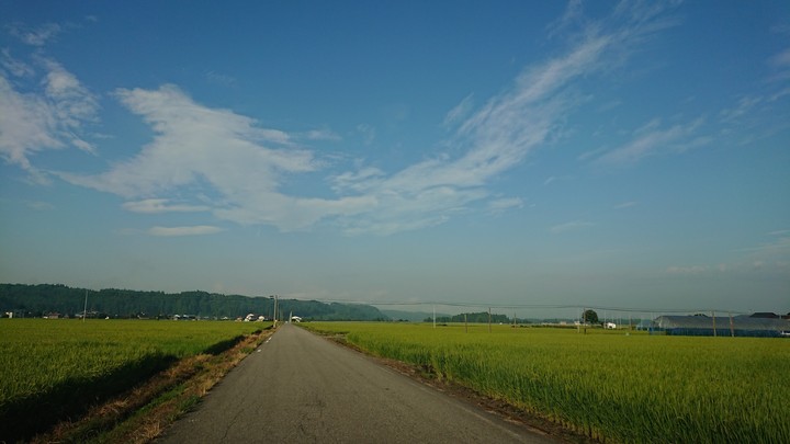 緑の波