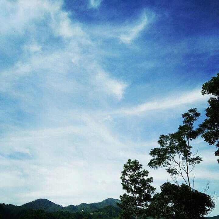 My dad took this photo. ><