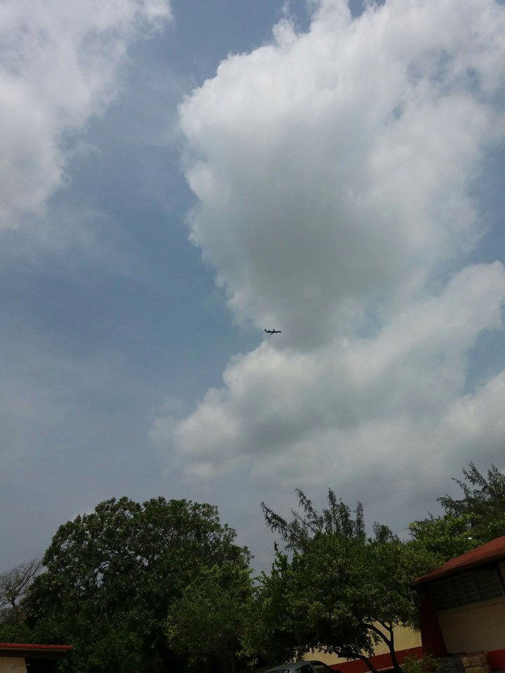 Flying in the sky