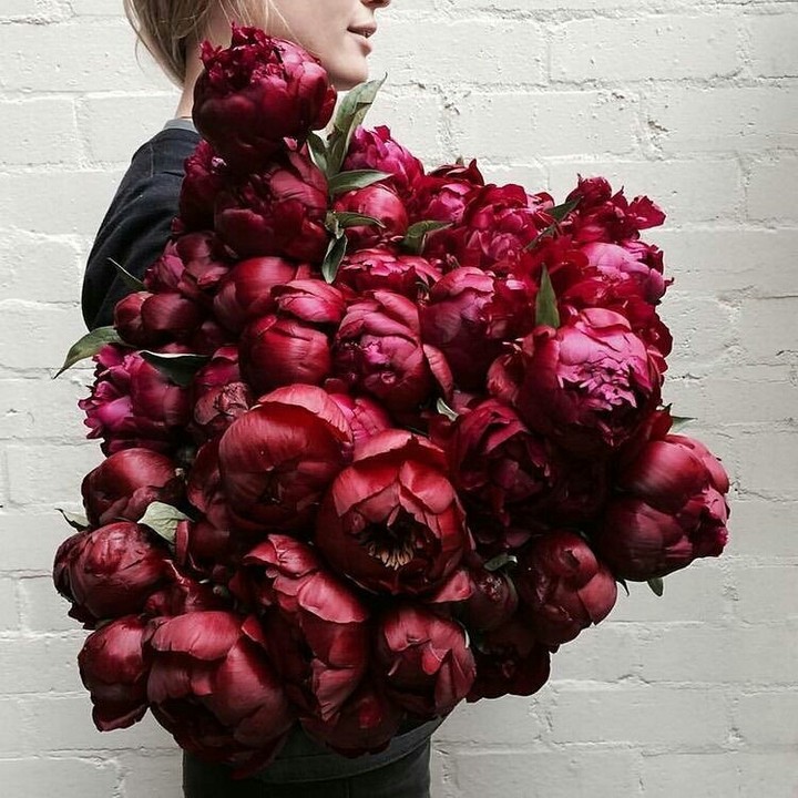 peony