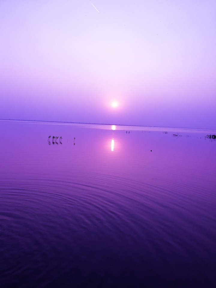 purple lake