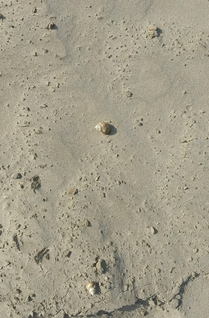 white sand