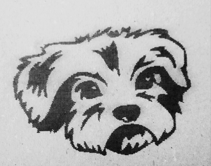 For dog lovers ??