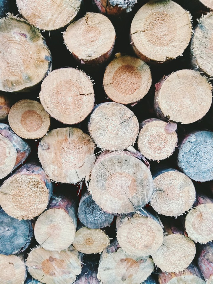 Wood