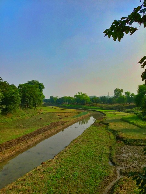 a beautiful nature