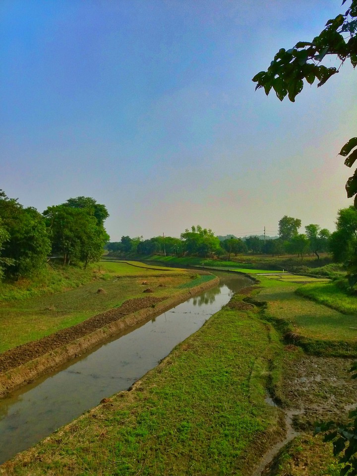 a beautiful nature