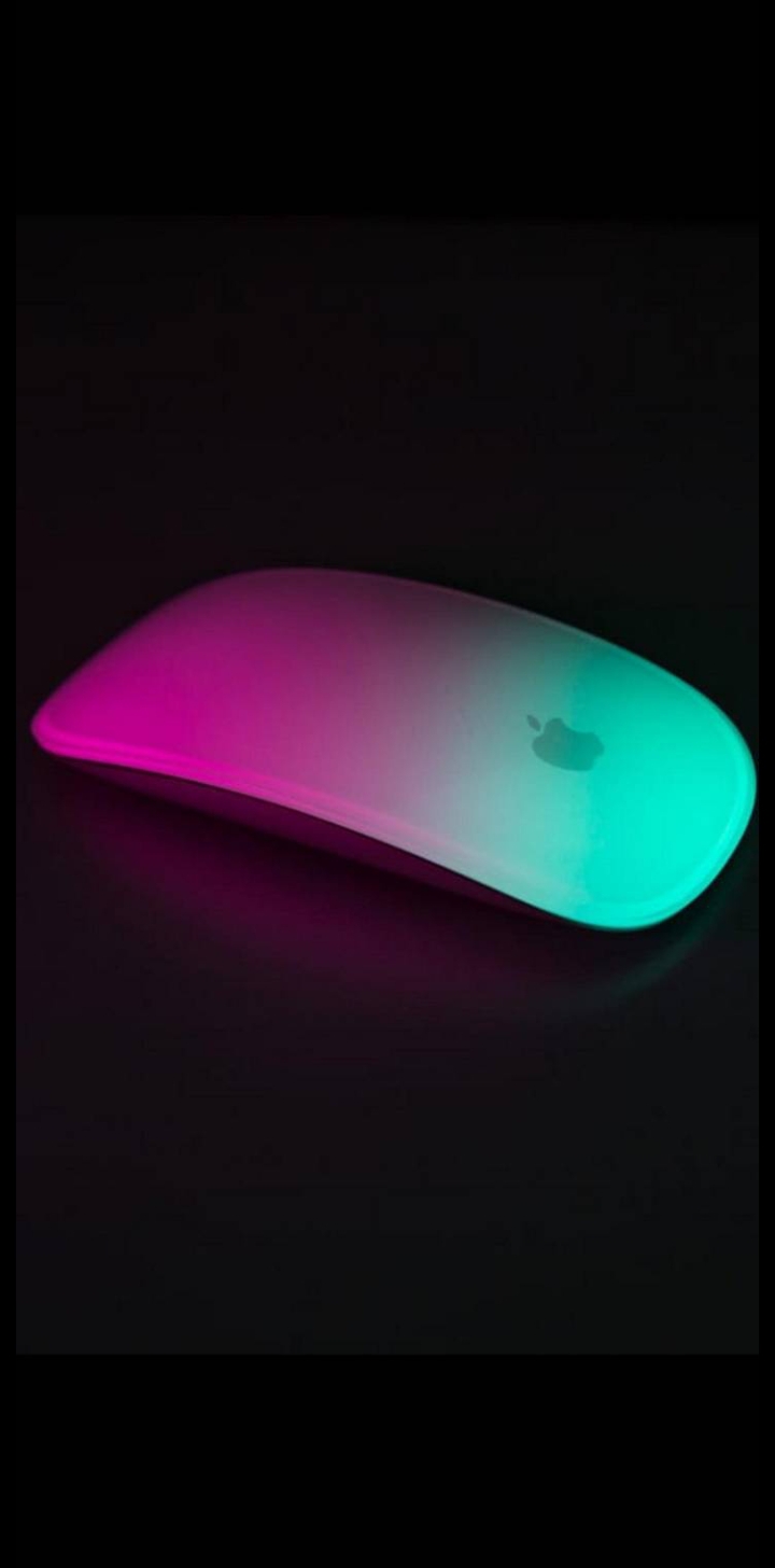 mouse