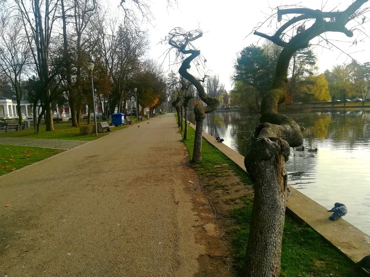 Central Park Cluj