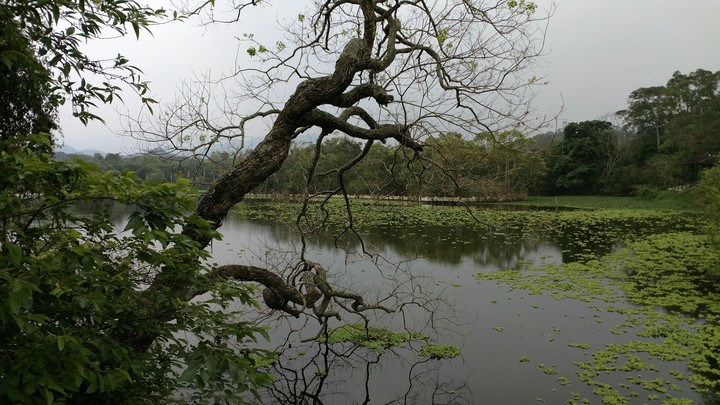 Lake 1