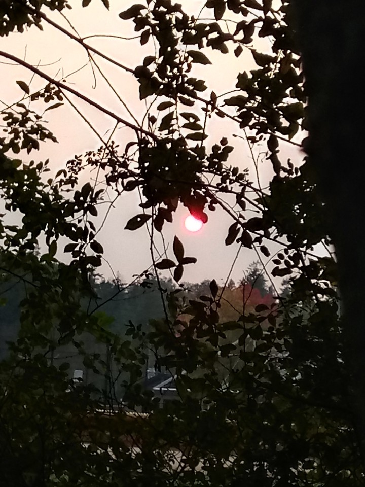 evening