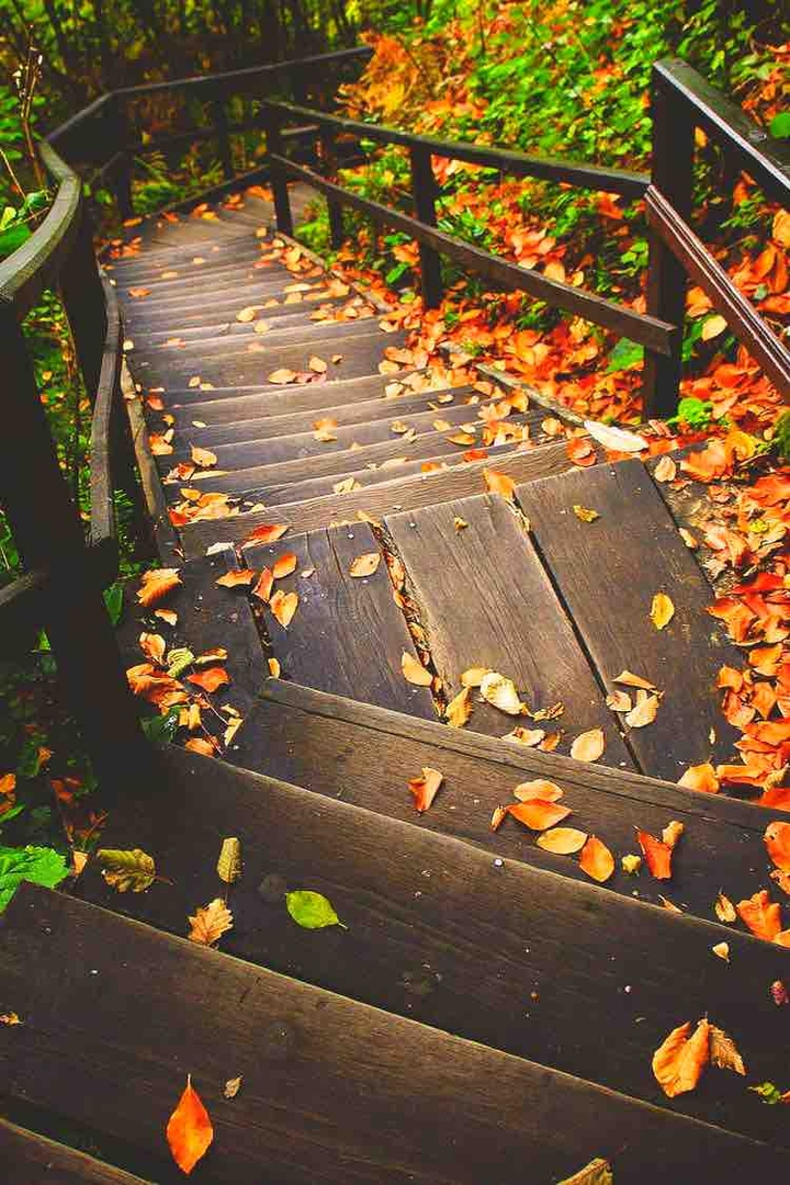 otoño ?