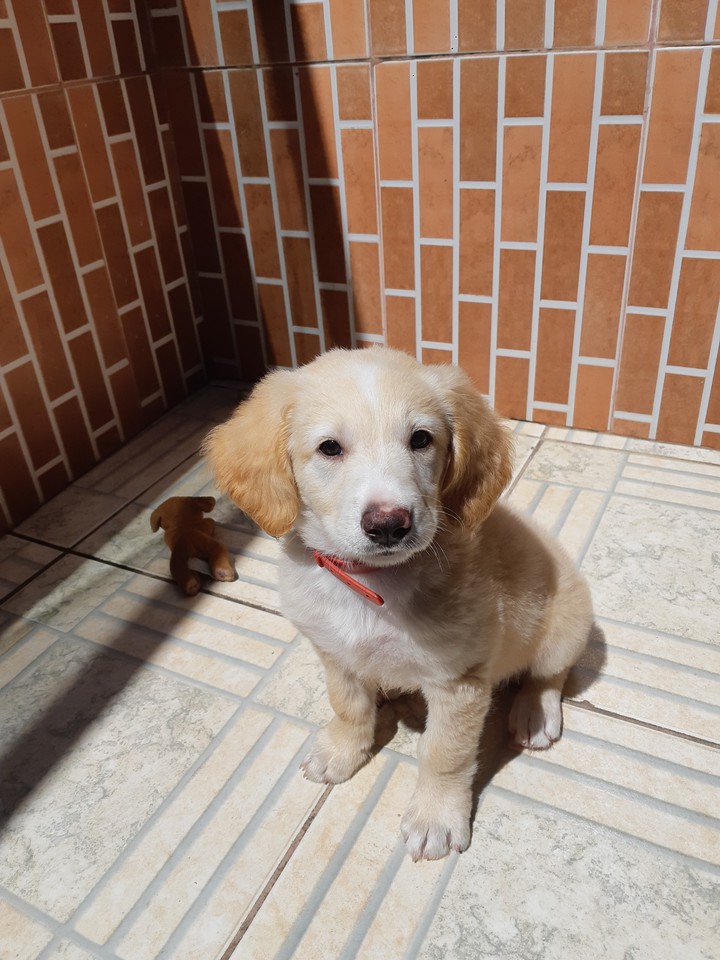 Duki