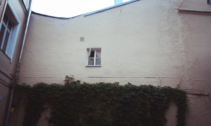 Lonely window