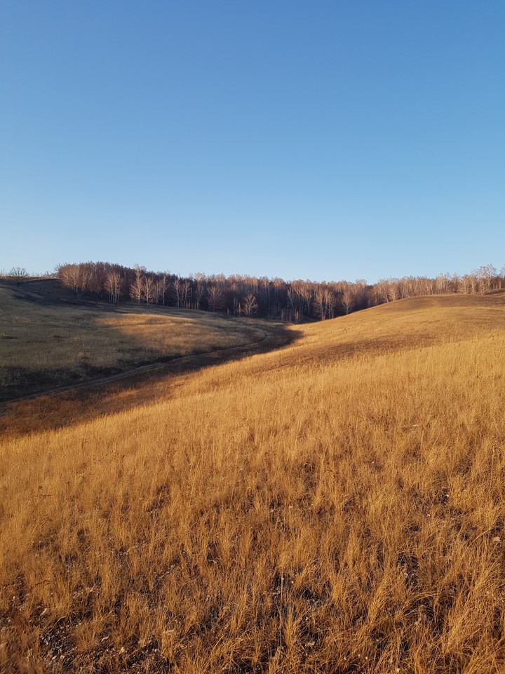 #самарскаяобласть #холмы