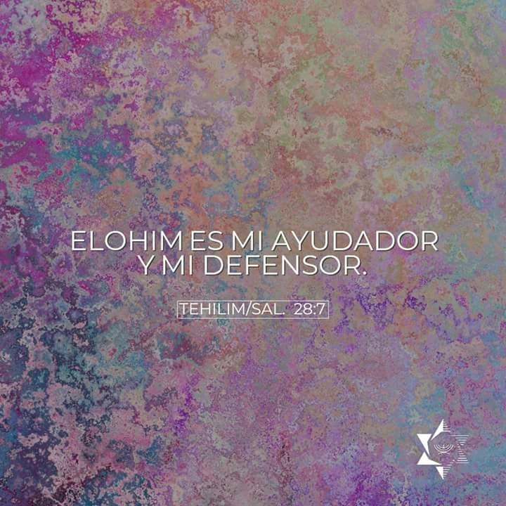 Tehilim (Salmos) 28:7