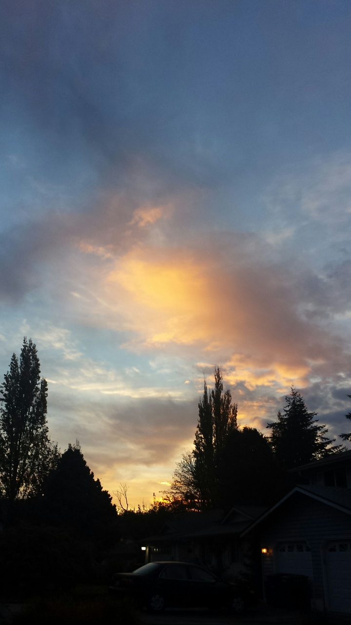 Pink Sunrise