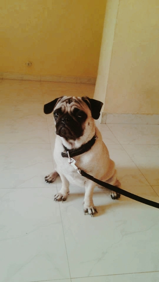 m single