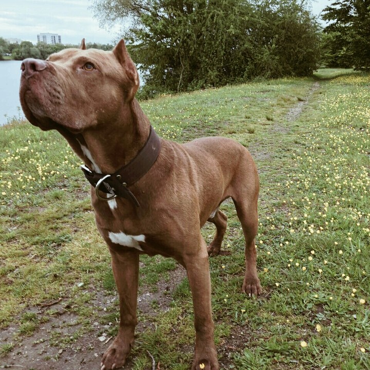 hutch❤