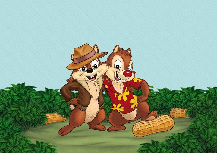 chip n dale