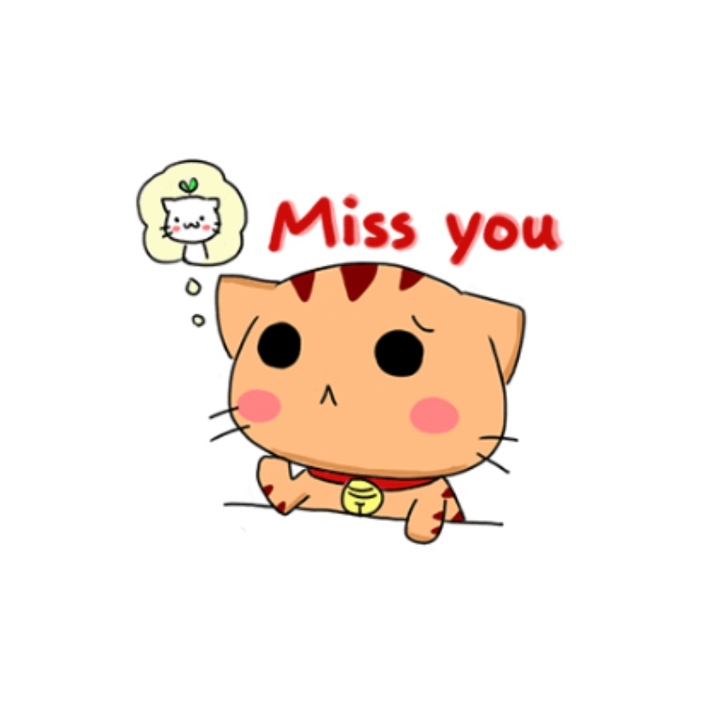 miss you
