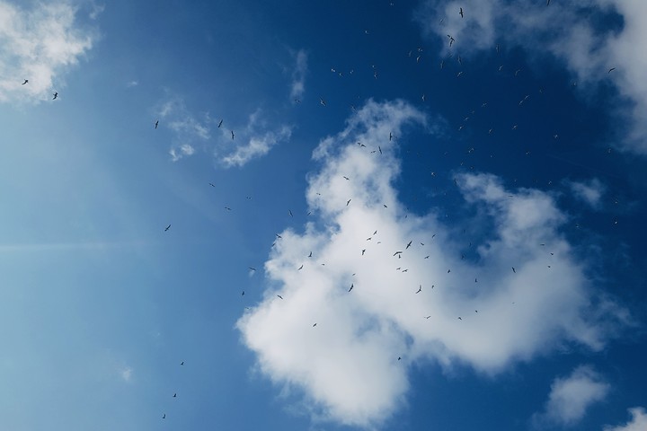 sky