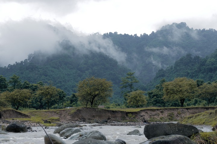 Nature
