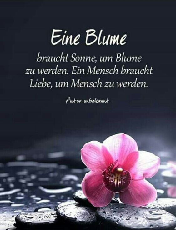 Zitat