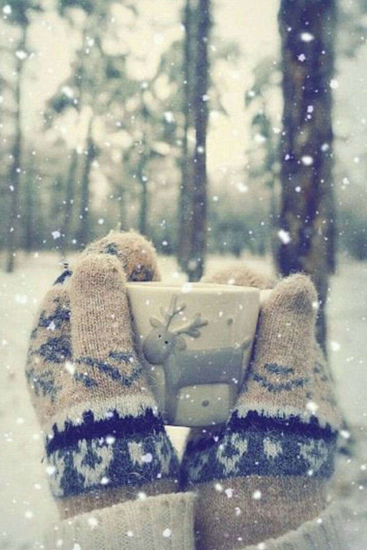 tea gloves snow
